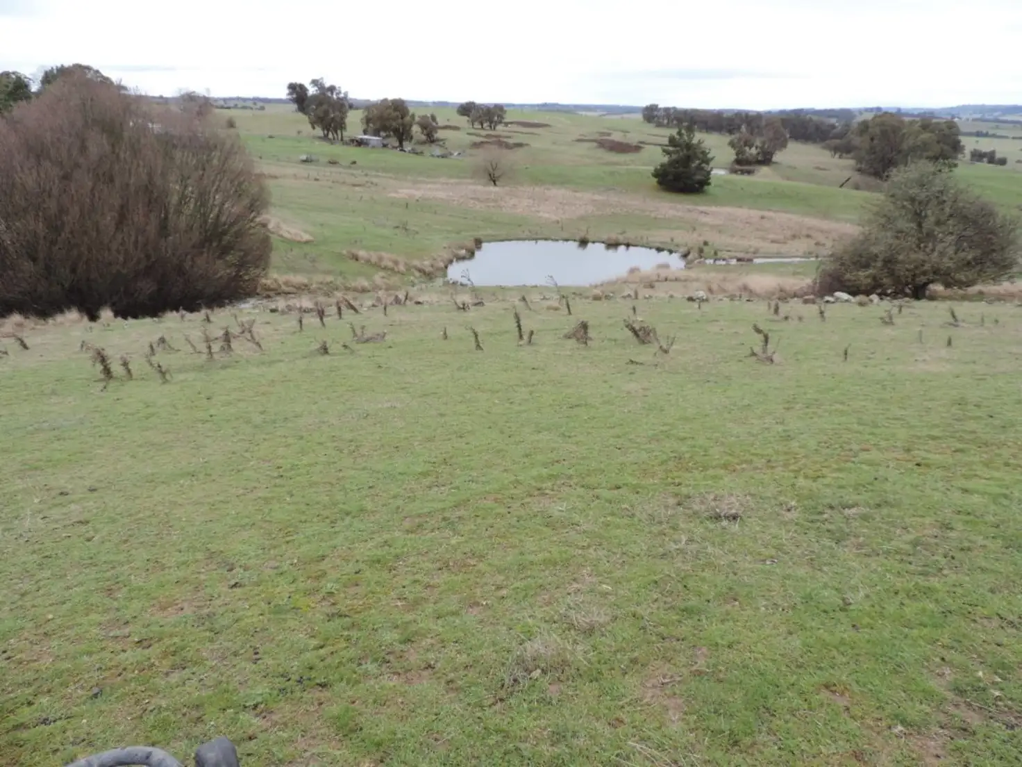 Main view of Homely rural property listing, 561 Redground Road, Crookwell NSW 2583