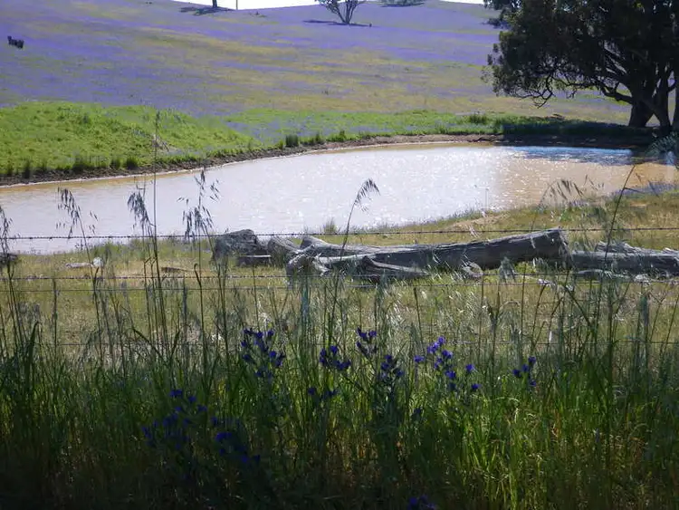 Fourth view of Homely rural property listing, Lot 589 Rosslyn Road, Murray Town SA 5481