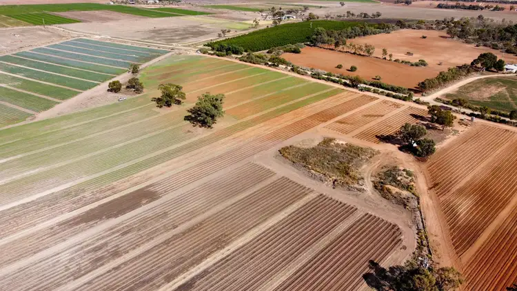 Fourth view of Homely land listing, 152 White Road, Woorinen North VIC 3589