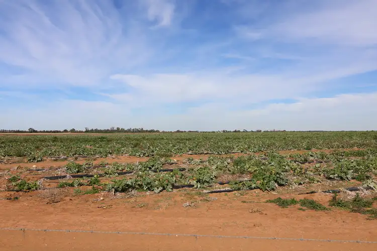 Seventh view of Homely land listing, 152 White Road, Woorinen North VIC 3589