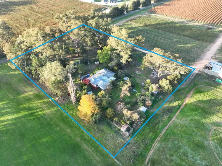Main view of Homely rural property listing, 318 Hays Road, Katunga VIC 3640