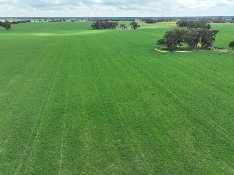 Third view of Homely rural property listing, 0 Labuan Road, Numurkah VIC 3636