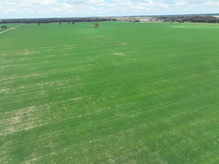 Fourth view of Homely rural property listing, 0 Labuan Road, Numurkah VIC 3636