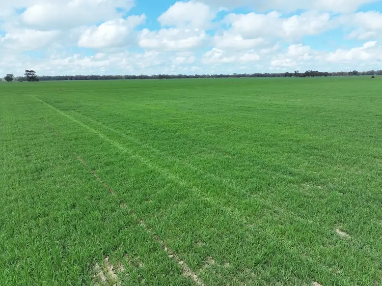 Fifth view of Homely rural property listing, 0 Labuan Road, Numurkah VIC 3636