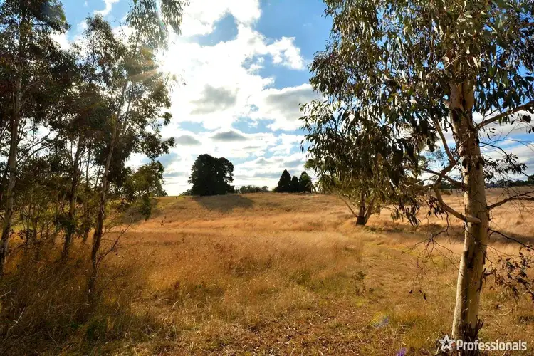 Second view of Homely rural property listing, 40 Limestone Creek Road, Portland NSW 2847