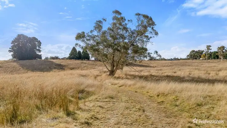 Sixth view of Homely rural property listing, 40 Limestone Creek Road, Portland NSW 2847