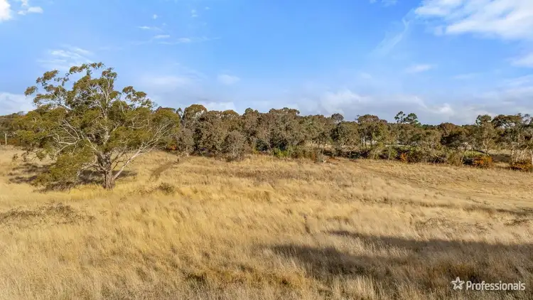 Seventh view of Homely rural property listing, 40 Limestone Creek Road, Portland NSW 2847