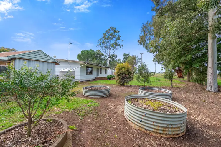 Fifth view of Homely rural property listing, 165 Walsh Road, Katandra VIC 3634