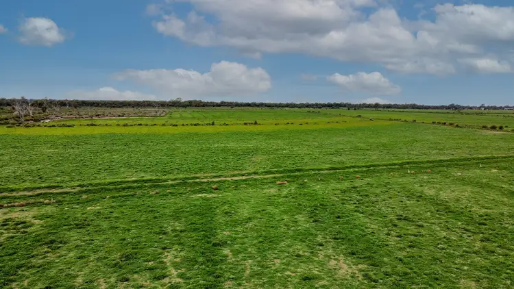 Fourth view of Homely rural property listing, 1D McAlister Road, Benjeroop VIC 3579