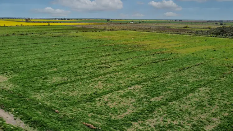 Fifth view of Homely rural property listing, 1D McAlister Road, Benjeroop VIC 3579