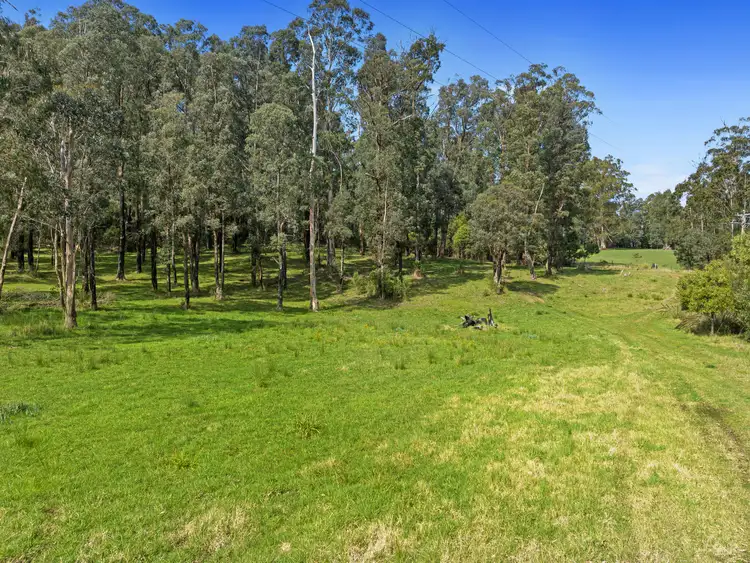 Fifth view of Homely land listing, 1301 Maroondah Highway, Narbethong VIC 3778
