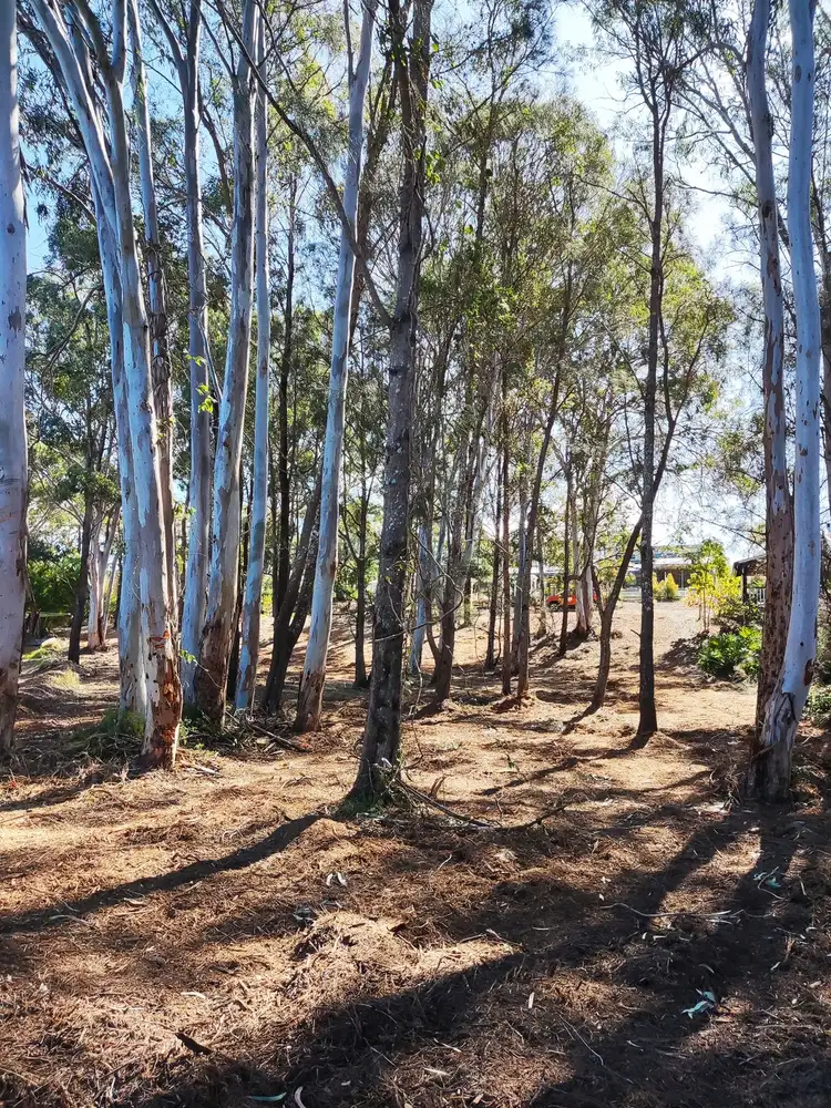 Third view of Homely land listing, 53 Beelong Street, Macleay Island QLD 4184