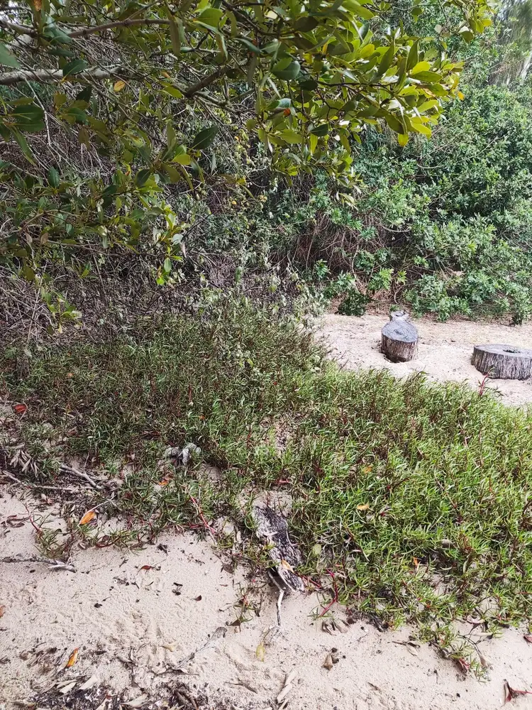 Seventh view of Homely land listing, 53 Beelong Street, Macleay Island QLD 4184