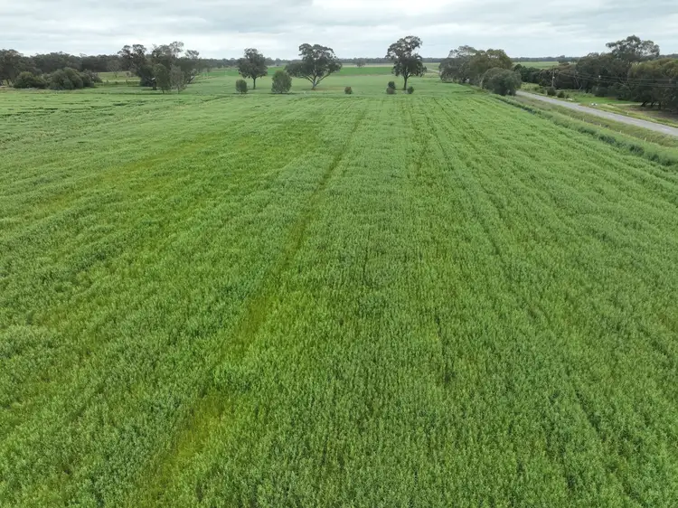 Fourth view of Homely rural property listing, 1006 Katamatite Nathalia Road, Waaia VIC 3637