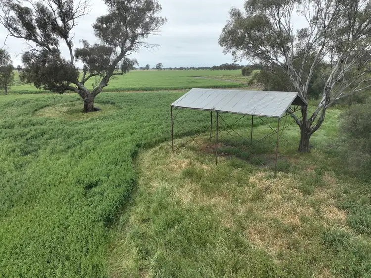 Sixth view of Homely rural property listing, 1006 Katamatite Nathalia Road, Waaia VIC 3637