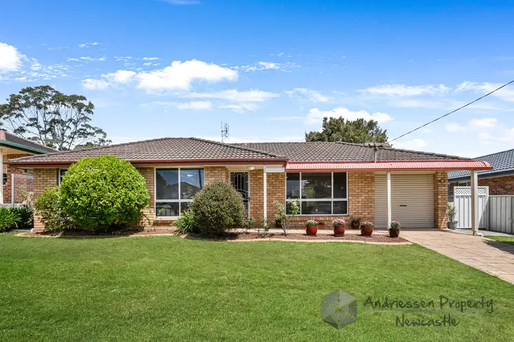 18 Ada Street, Cardiff South NSW 2285