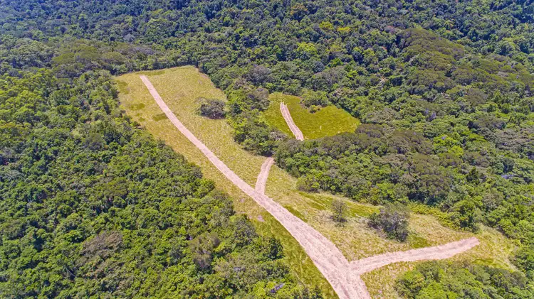 Second view of Homely rural property listing, 307 Dalton Road, Aloomba QLD 4871