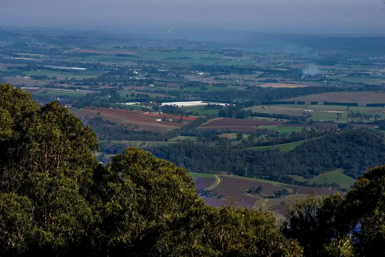 Fifth view of Homely house listing, 111 Nyora Road, Mount Toolebewong VIC 3777