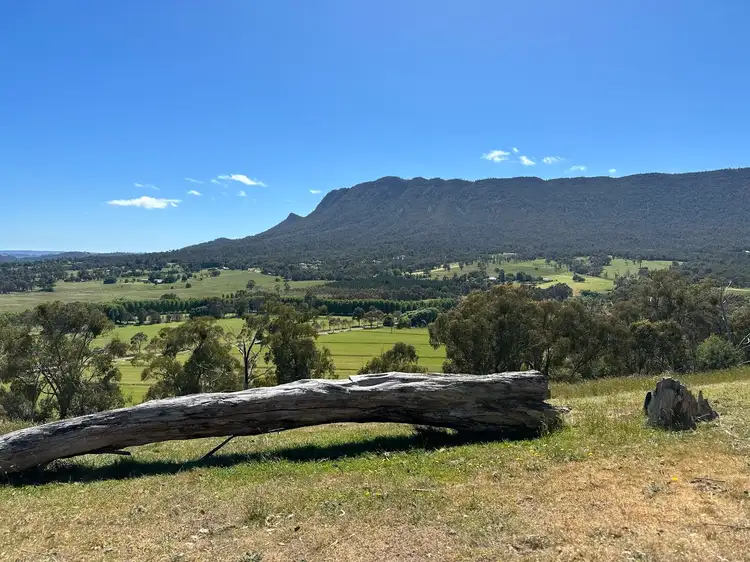 Main view of Homely rural property listing, 2561 Maroondah Highway, Buxton VIC 3711