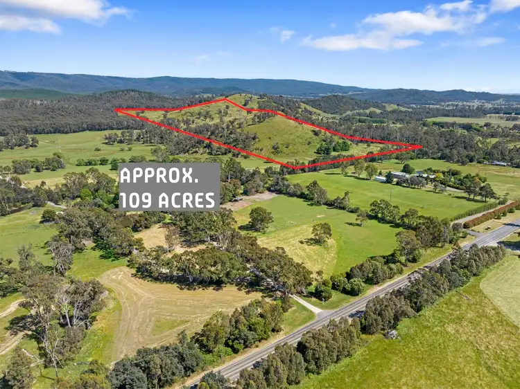 Second view of Homely rural property listing, 2561 Maroondah Highway, Buxton VIC 3711