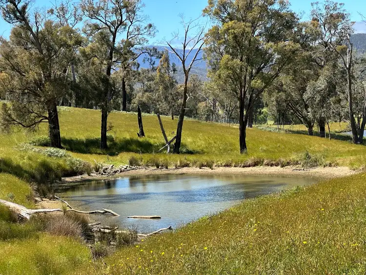 Fifth view of Homely rural property listing, 2561 Maroondah Highway, Buxton VIC 3711