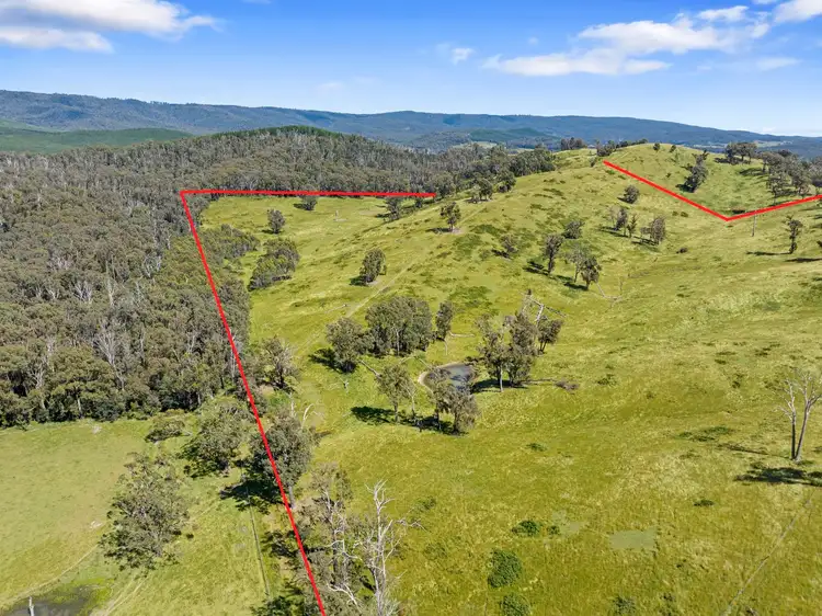 Sixth view of Homely rural property listing, 2561 Maroondah Highway, Buxton VIC 3711