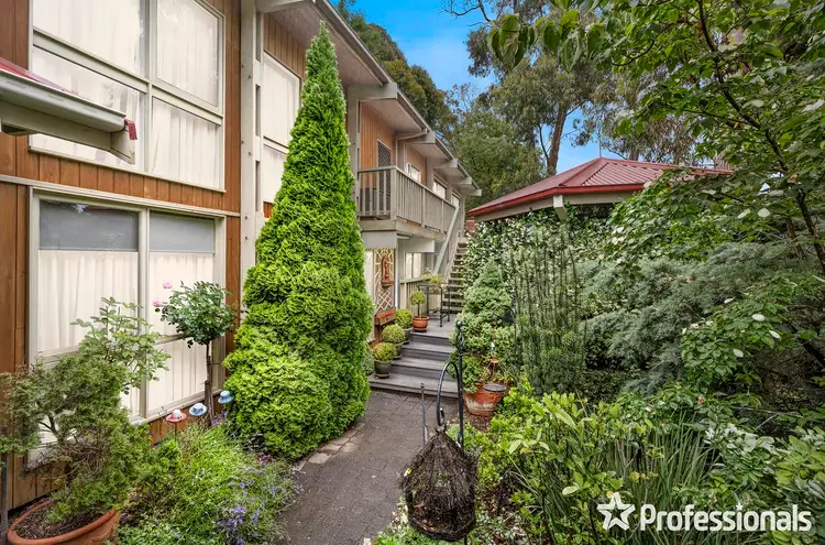 6 Government Road, The Basin VIC 3154