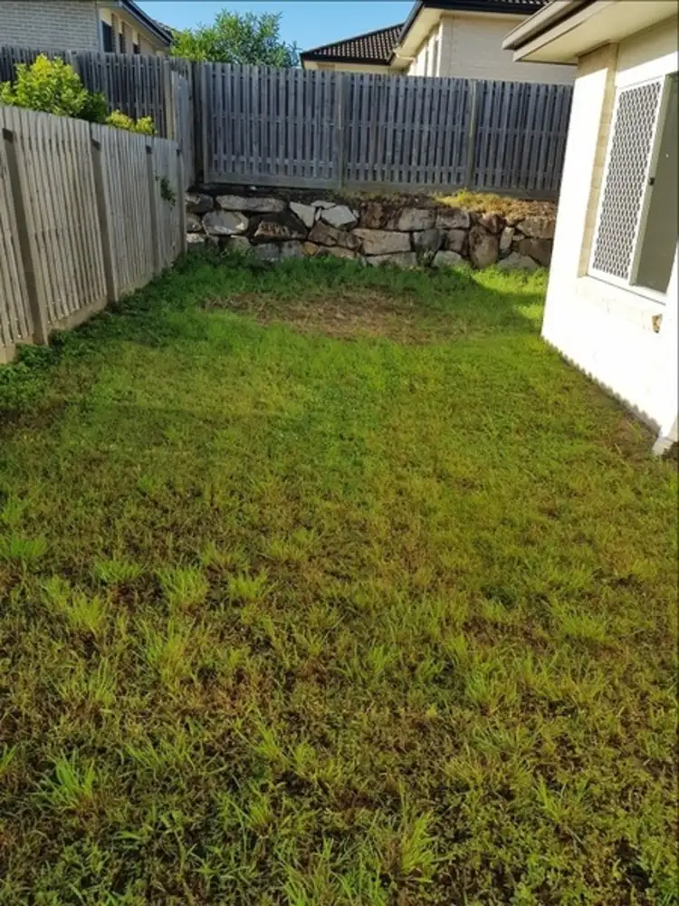 Fifth view of Homely house listing, 10 Benjamina Drive, Redbank Plains QLD 4301