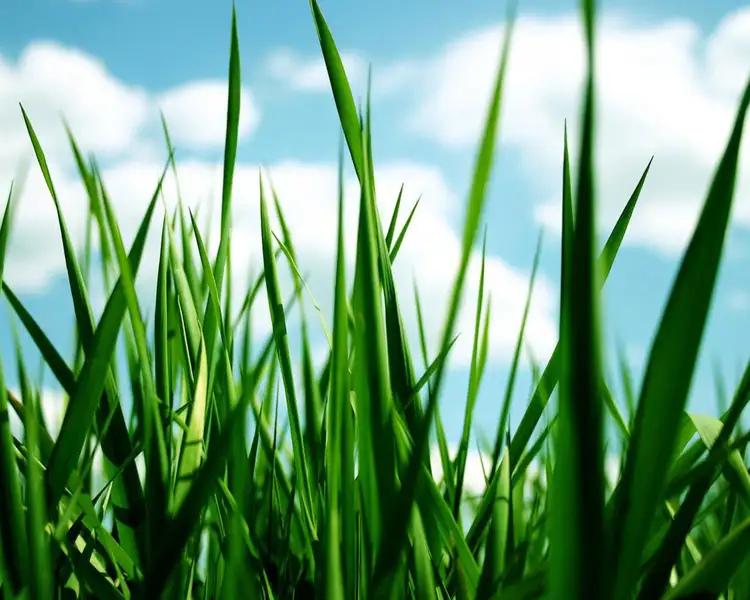 Third view of Homely land listing, 545 Hogans Road, Tarneit VIC 3029