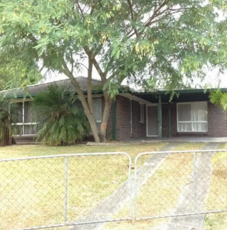 64 Anchusa Street, Kingston QLD 4114