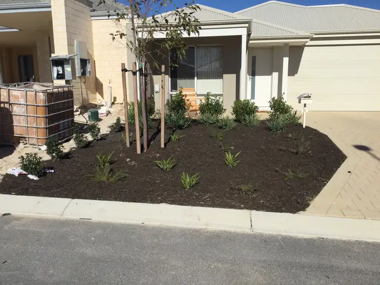 Main view of Homely house listing, 14 Spotted Way, Alkimos WA 6038