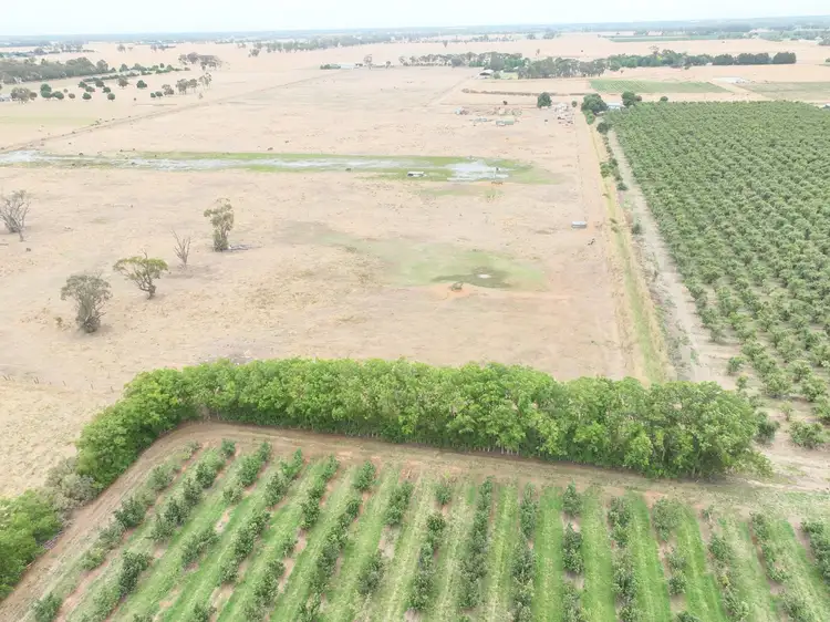 Fourth view of Homely rural property listing, 107 Manley Road, Ardmona VIC 3629