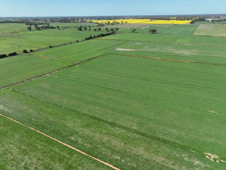 Fifth view of Homely rural property listing, lot/2 Shinnicks Road, Numurkah VIC 3636