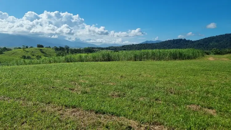 Third view of Homely rural property listing, 753 Bramston Beach Road, East Russell QLD 4861