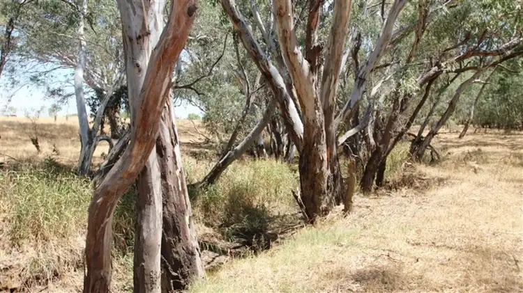 Third view of Homely land listing, 158 George Street, Bet Bet VIC 3472