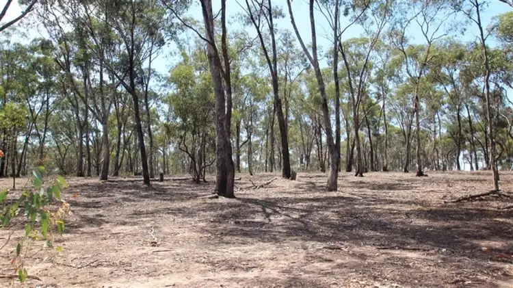 Fourth view of Homely land listing, 158 George Street, Bet Bet VIC 3472