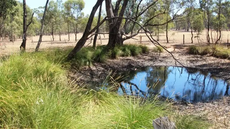Fifth view of Homely land listing, 158 George Street, Bet Bet VIC 3472