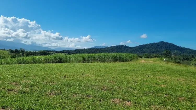 Third view of Homely rural property listing, 36 Bonso Access Drive, East Russell QLD 4861