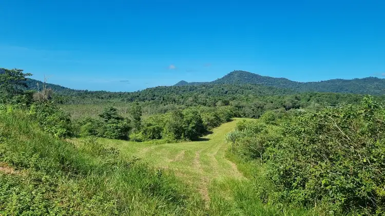 Fourth view of Homely rural property listing, 36 Bonso Access Drive, East Russell QLD 4861