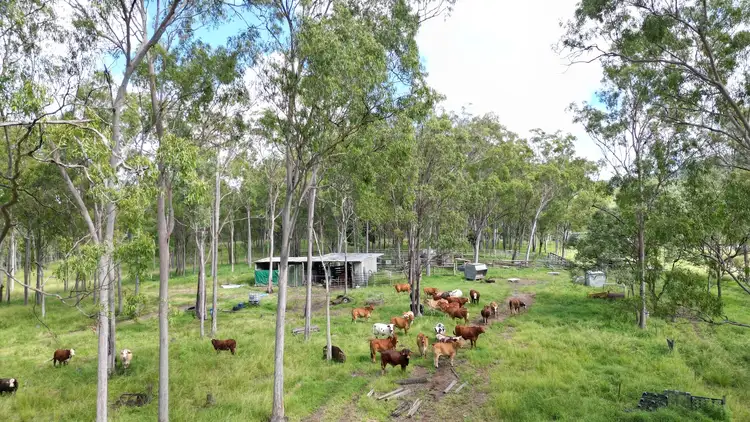 Fourth view of Homely rural property listing, Lot 3 Devil Mountain Road, Sexton QLD 4570