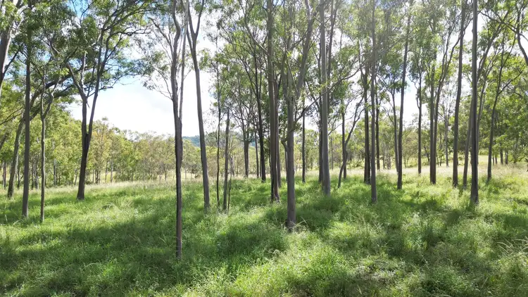 Sixth view of Homely rural property listing, Lot 3 Devil Mountain Road, Sexton QLD 4570