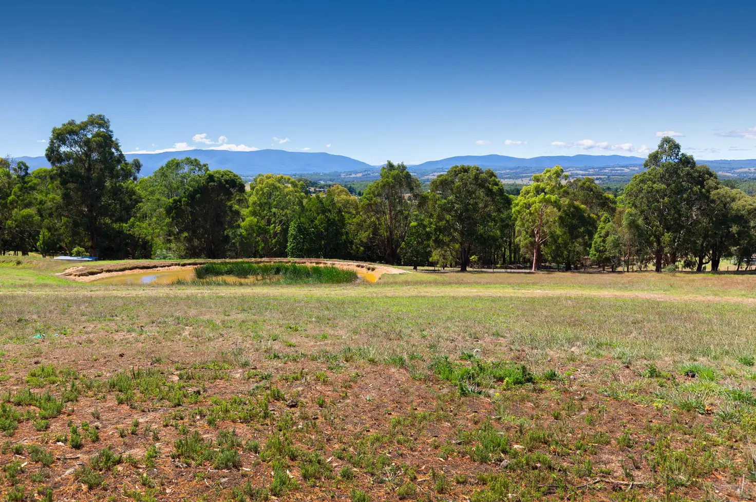 Main view of Homely house listing, 36 Beveridge Road, Silvan VIC 3795