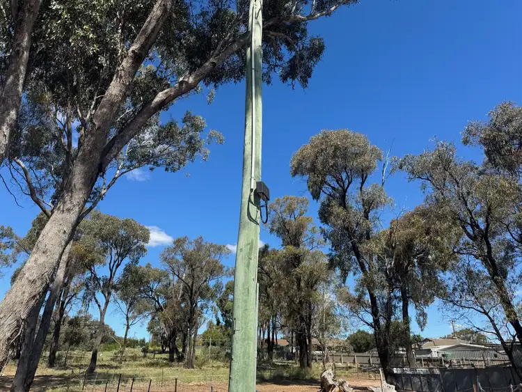 Third view of Homely land listing, 16 McPherson Avenue, Maryborough VIC 3465