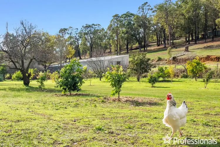 Sixth view of Homely house listing, 83 Merrivale Road, Pickering Brook WA 6076