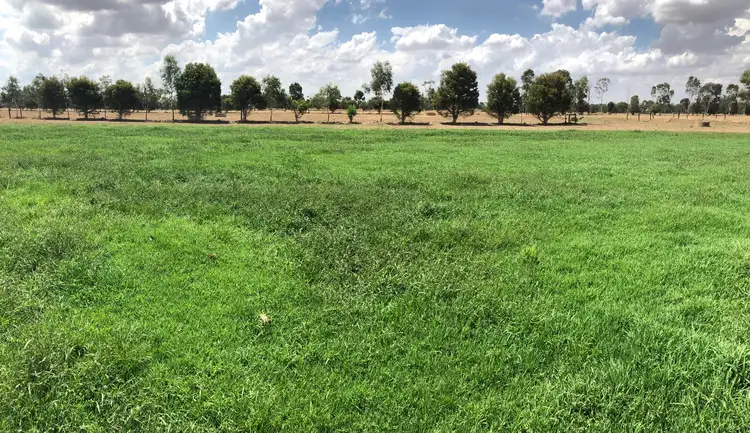 Seventh view of Homely rural property listing, 409 Youanmite Road, Invergordon VIC 3636