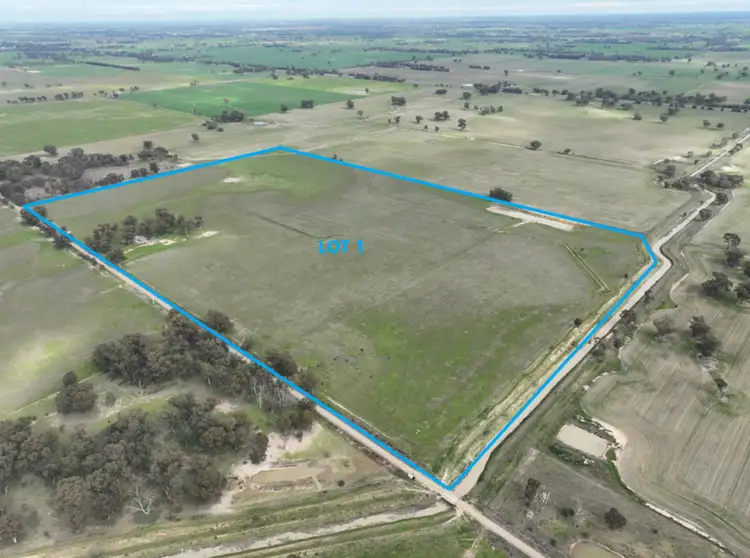 Second view of Homely rural property listing, 219 Grahams Road, Wunghnu VIC 3635