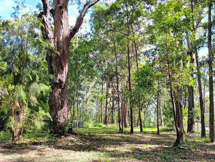 34 Ilumba Street, Russell Island QLD 4184