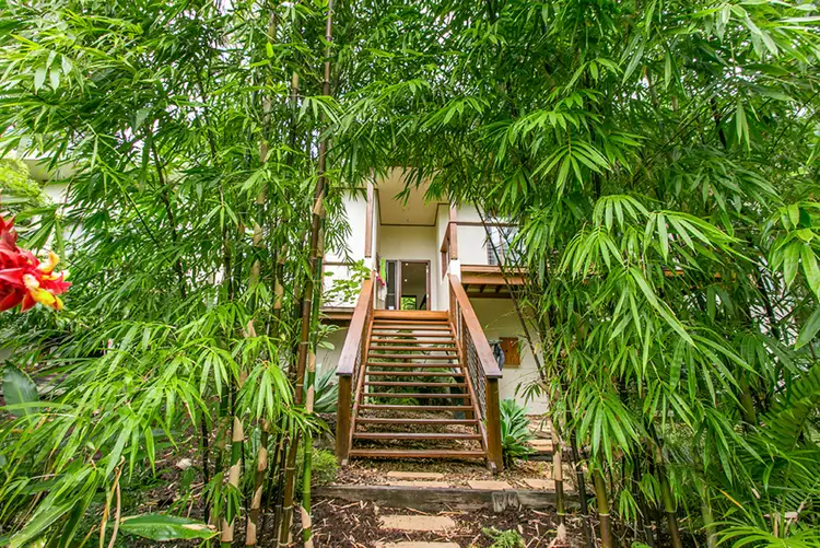Fifth view of Homely house listing, 21 Mundurra Avenue, Ocean Shores NSW 2483