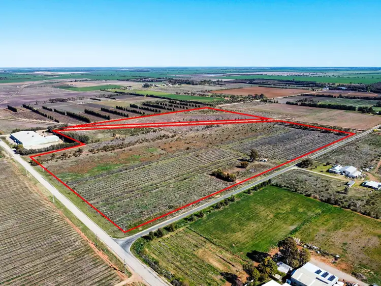 Main view of Homely rural property listing, 1 George Road, Tresco VIC 3583