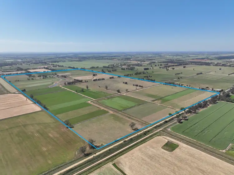 Main view of Homely rural property listing, 1105 Starritt Road, Undera VIC 3629